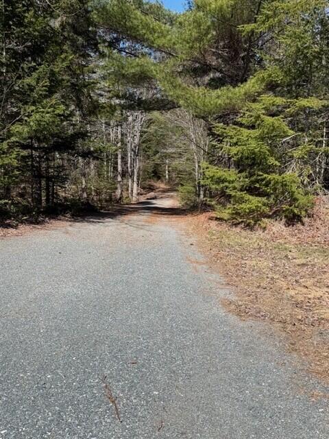 Driveway view-leaving house