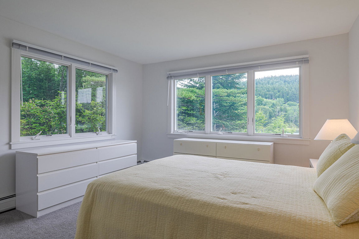 Lower level bedroom