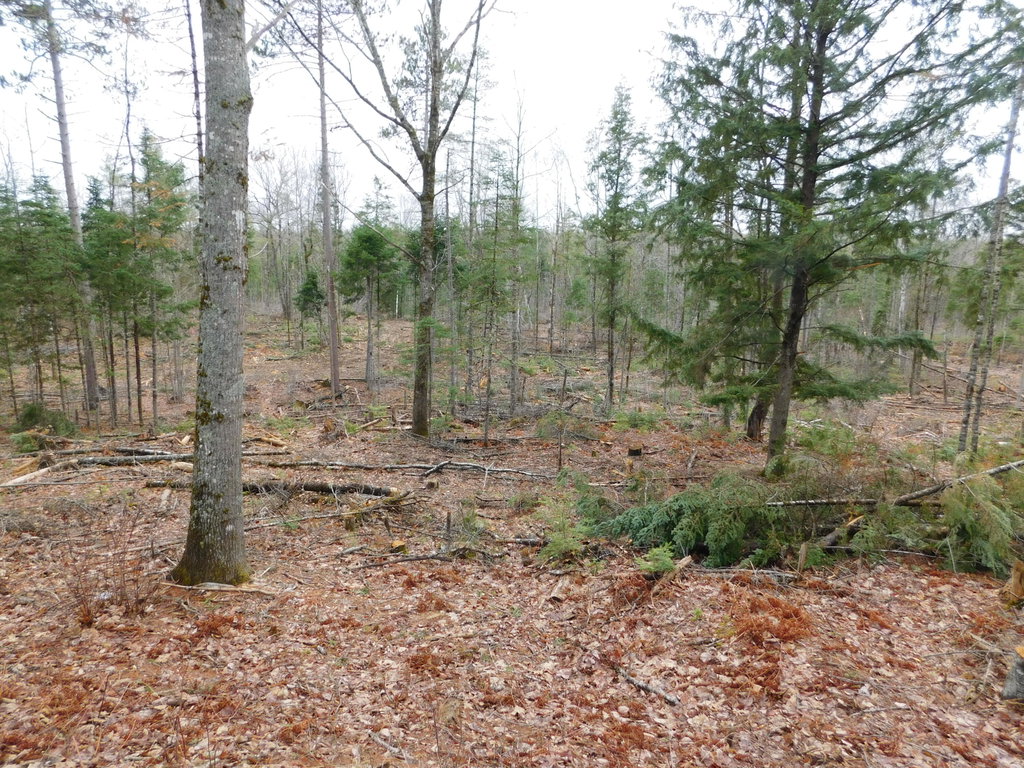 Lot # 4 Spring Bridge Road Greenbush