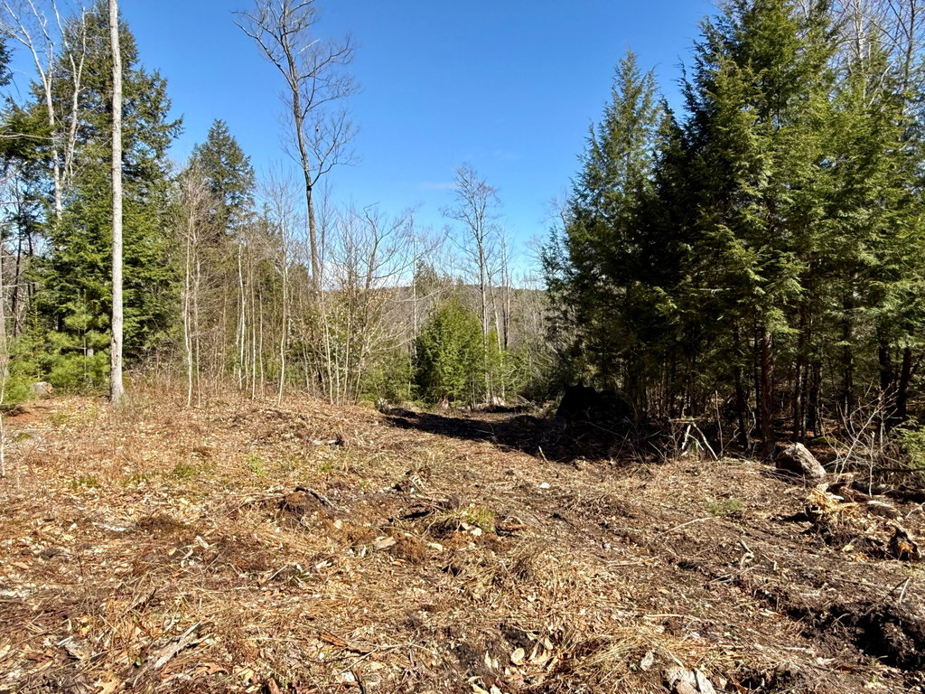 Map8Lot53B Buckfield Road Paris