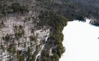 M5L38-1 North Shore of Center Pond  Sangerville