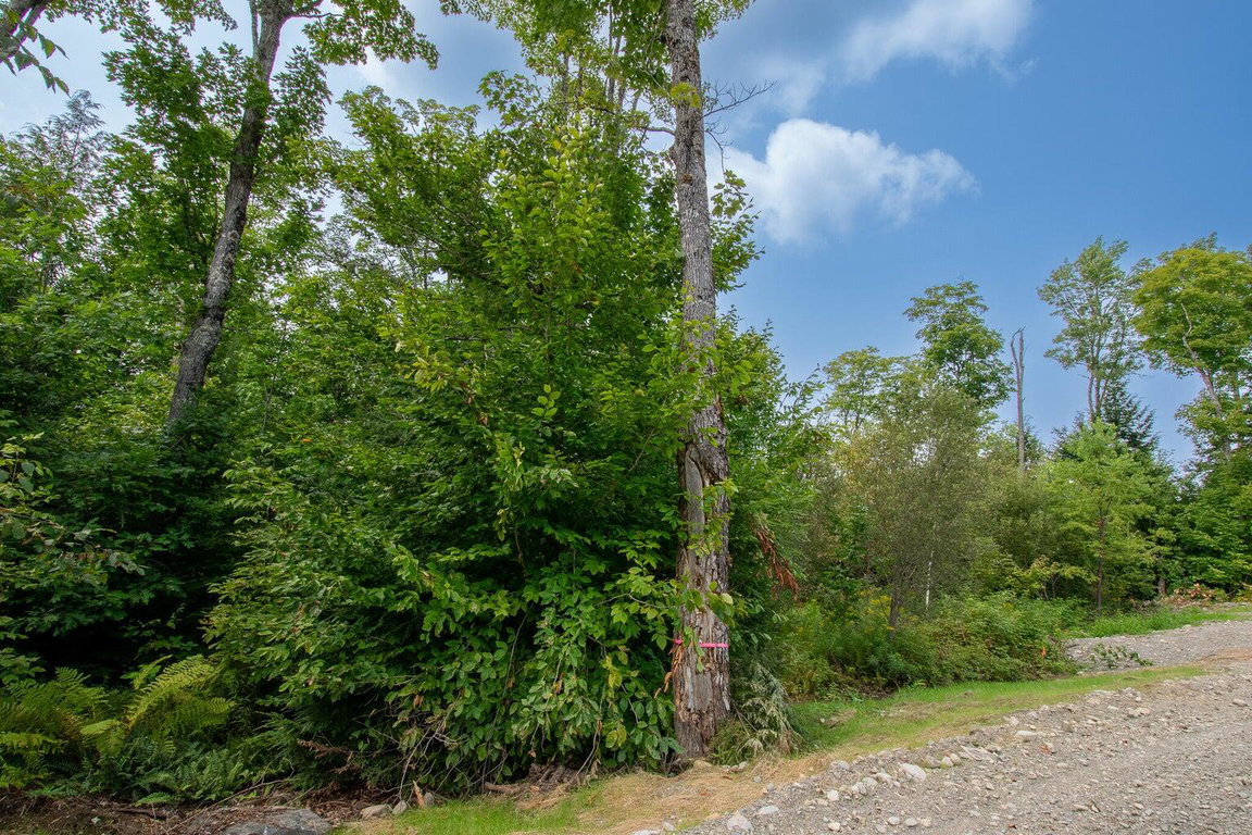 Lot1 Bear Brook Subdivision  Sebec