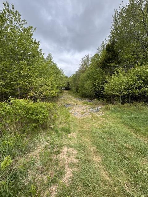 image1 (1)