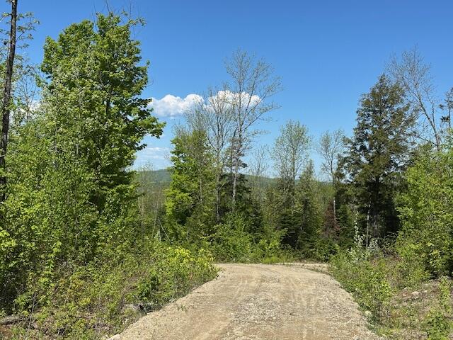 Lot 5 Mt. Jefferson Heights Lee