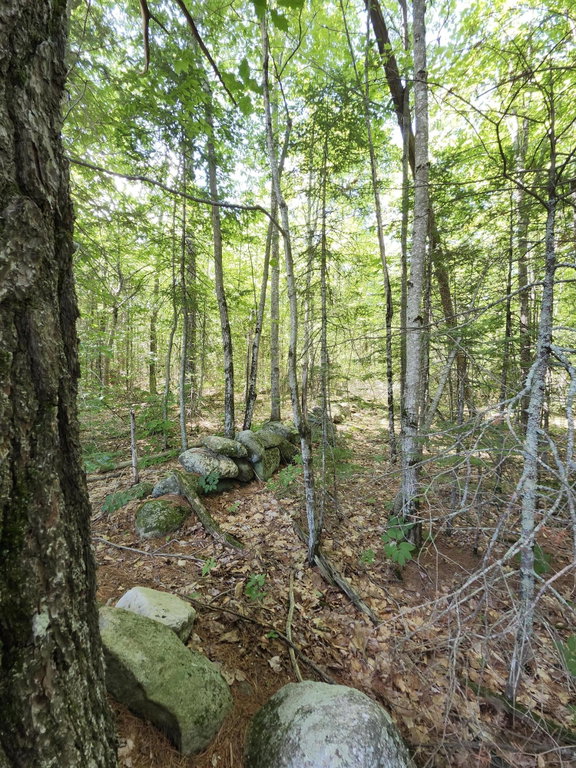 TBD Bridgton Road Sebago
