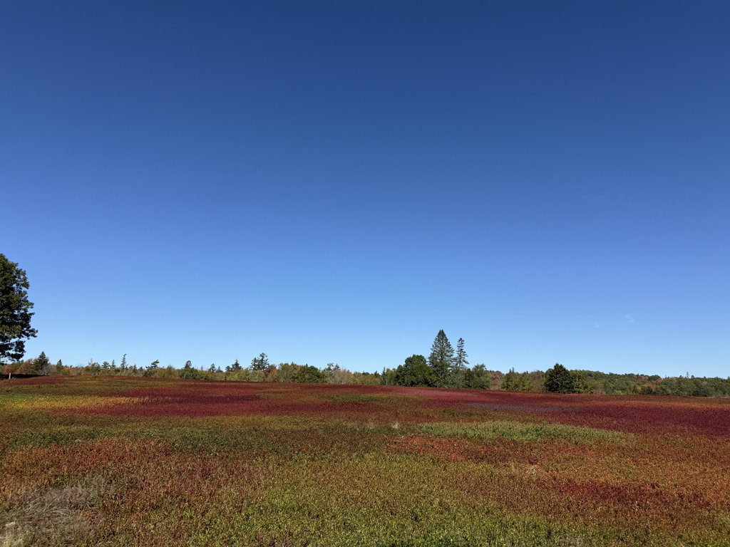 MAP 31 LOT 29