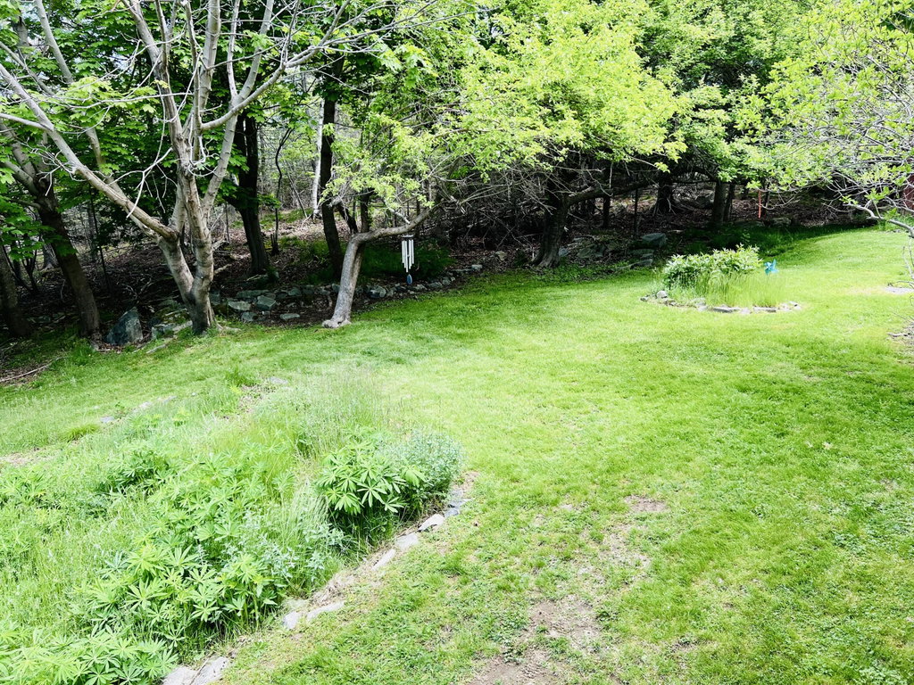 Side yard