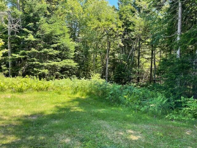19 Tamarack Lane Cushing