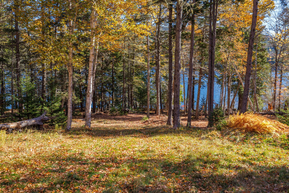 44 - Tremont Road Land - DTP