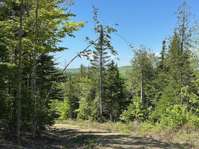 Lot 10 Mt. Jefferson Heights Lee