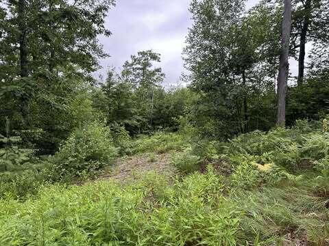 R01-044D Christian Hill Road Lovell