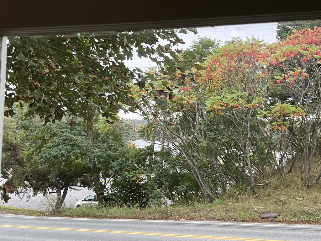Living rm view