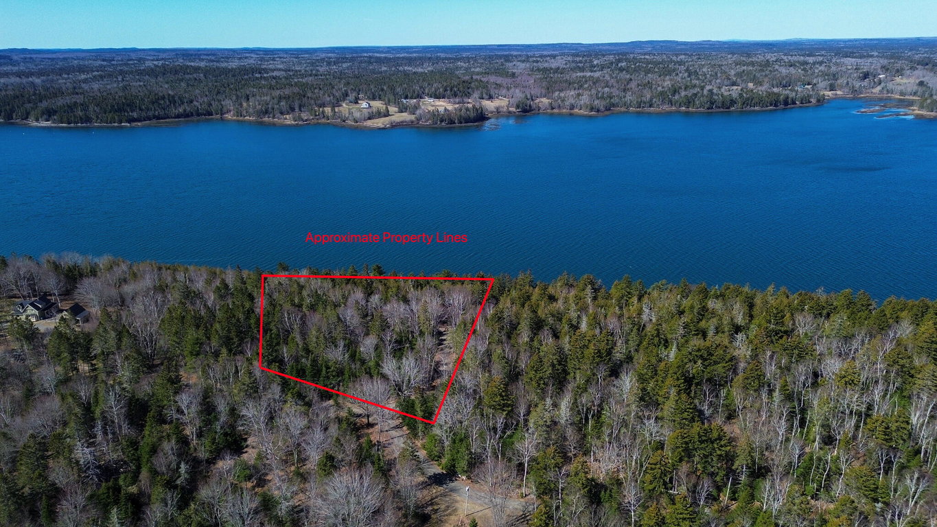 9 Raft Cove Road Trescott Twp