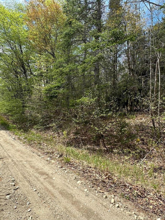 Lot 2 Morse District Road Road Steuben