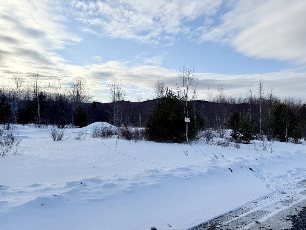Lot #14 Greenville Steam Road Greenville