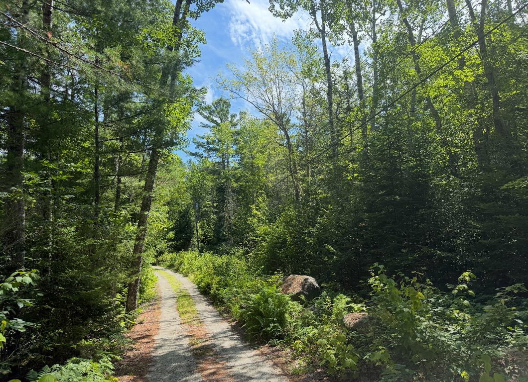 Lot 23 Webb Pond Rd