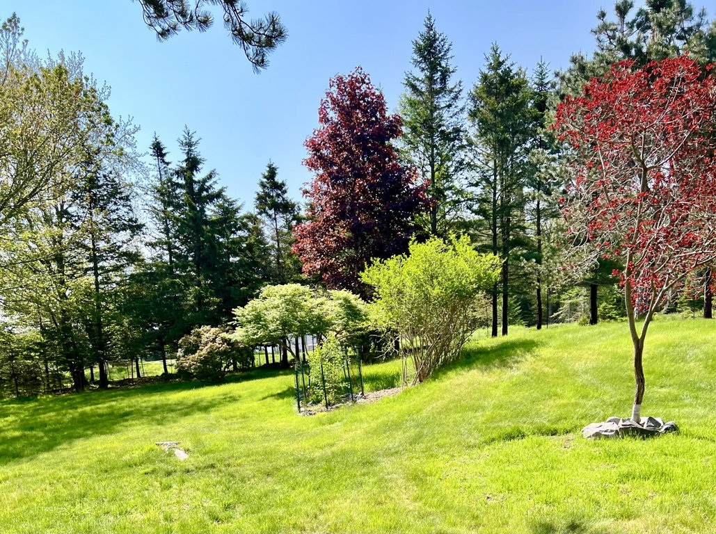 Lovely grounds