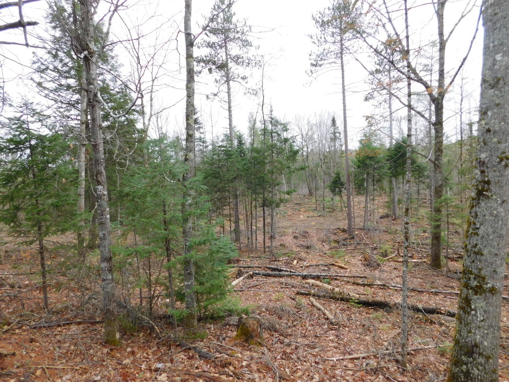 Lot # 2 Spring Bridge Road Greenbush