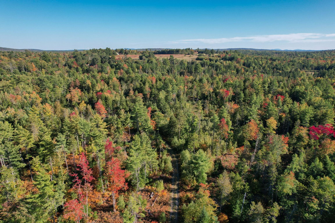 DJI_0557