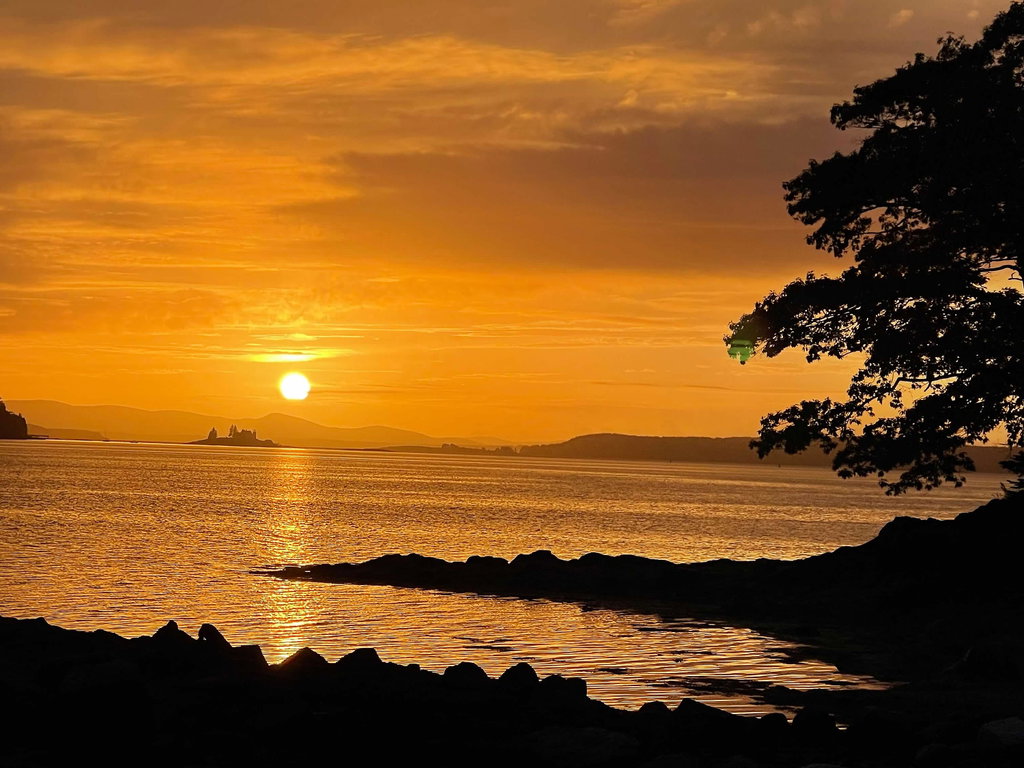 unnamed-3