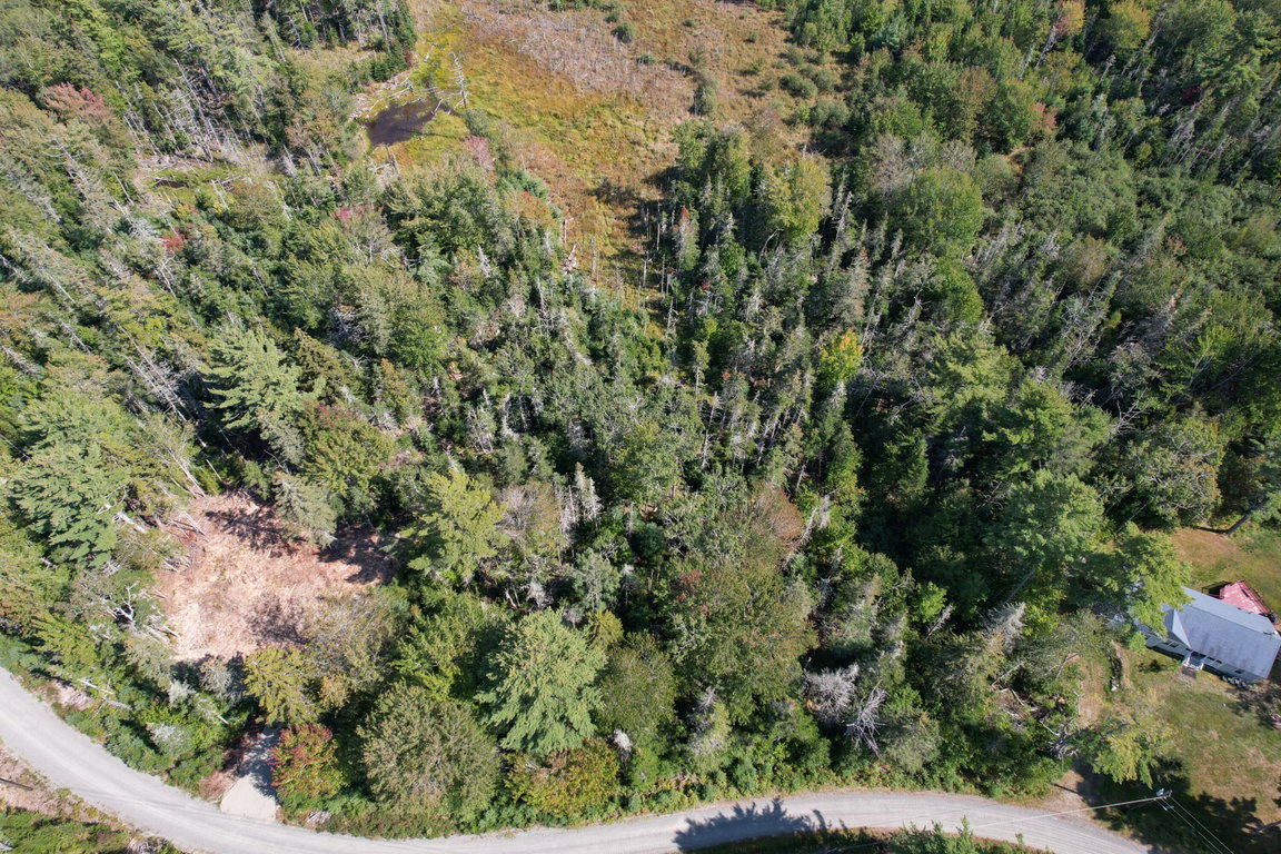 DJI_0921