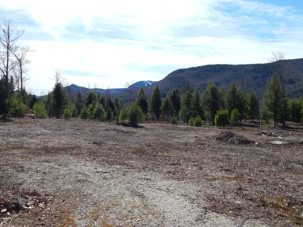 Lot 13 Second Street Bethel