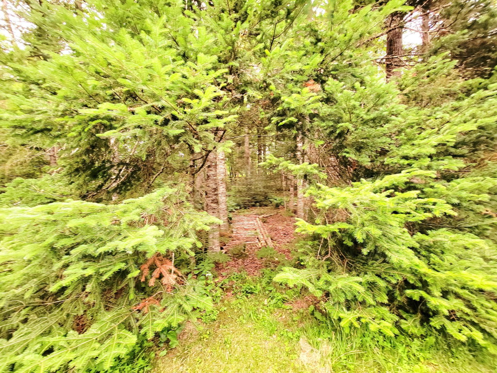 Manicured Trails