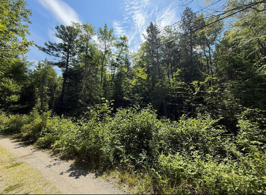 Lot 23 Webb Pond Rd