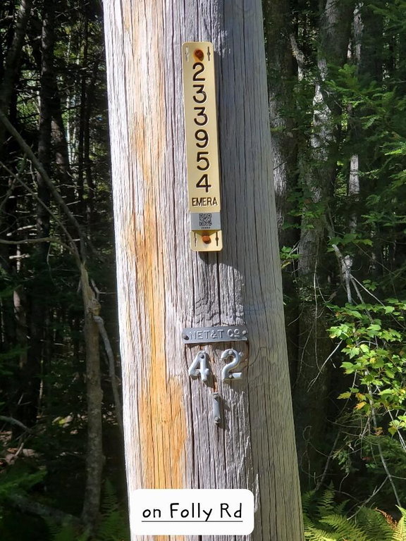 power pole on Folly