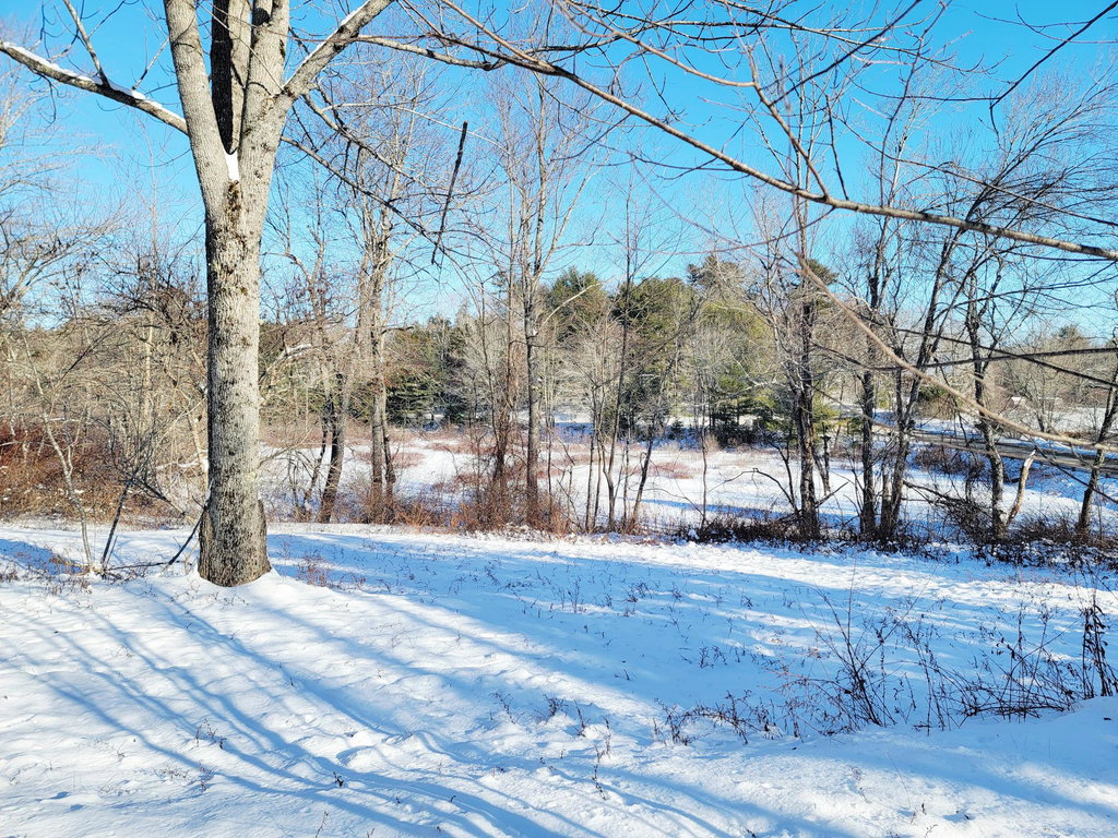 Mill Pond
