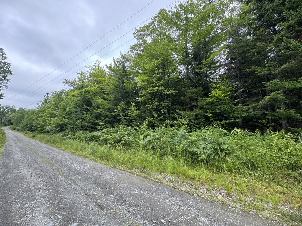 TBD Trafton Road Parkman