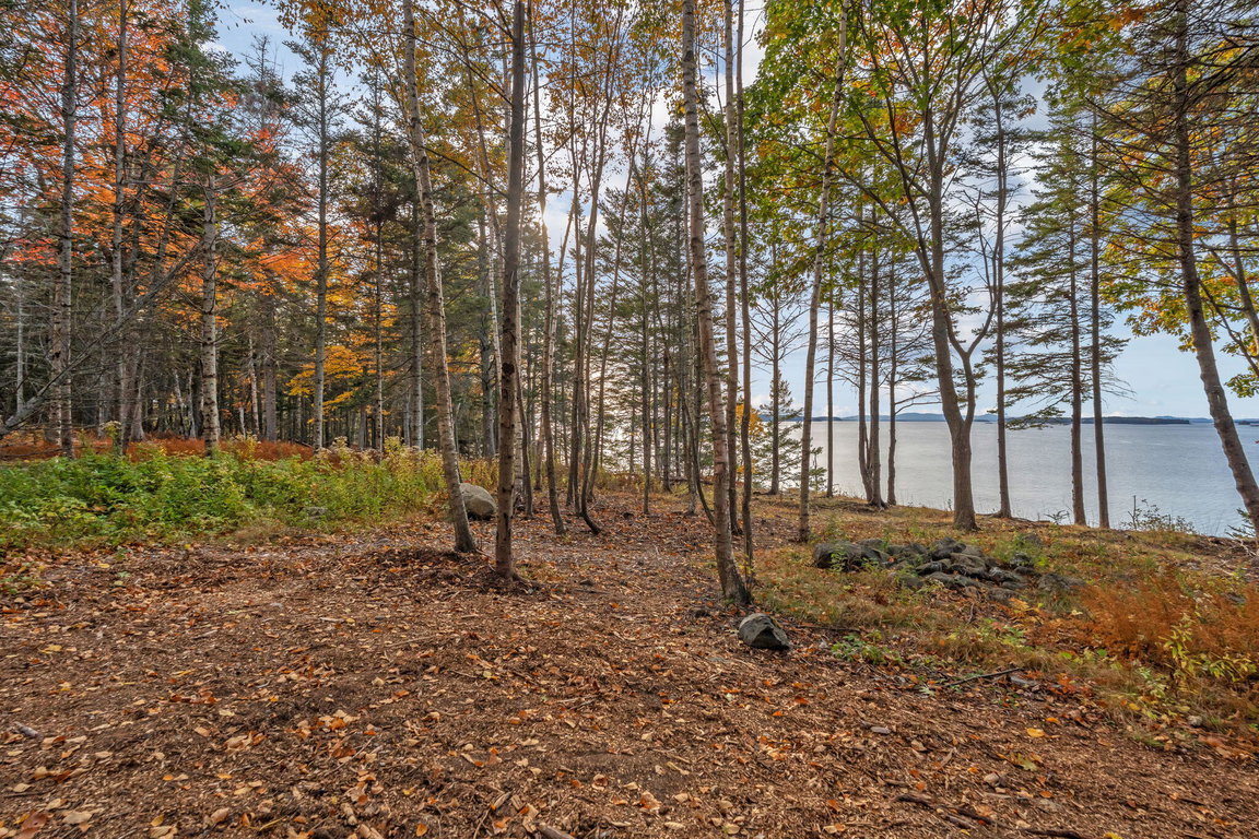 16-web-or-mls-495-north-deer-isle-land