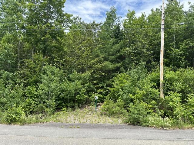 Lot 12 Grant Road Orono