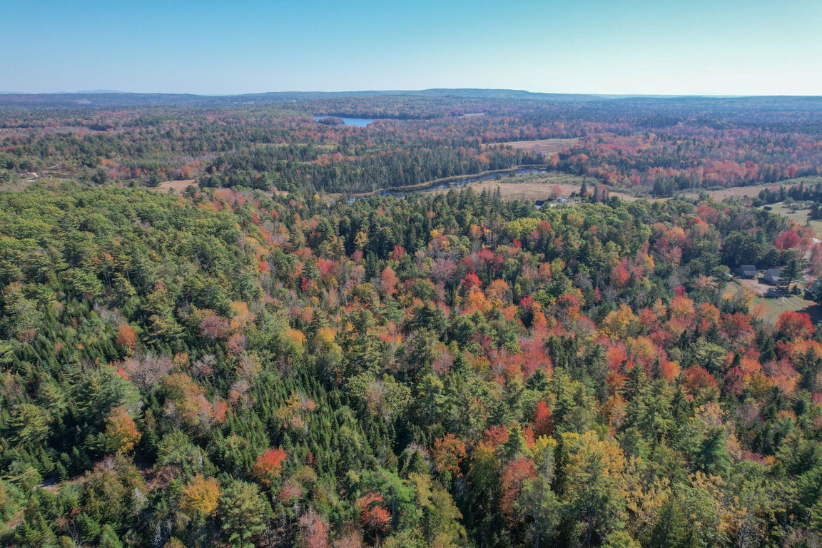 DJI_0215