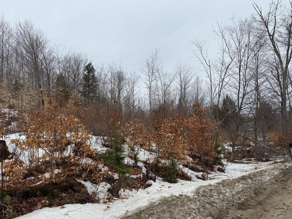 5 Lone Oaks Road Buckfield