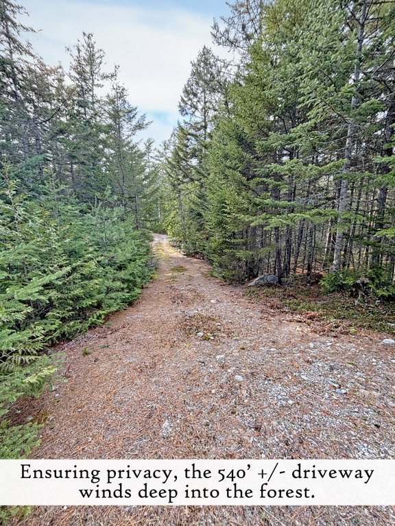 driveway (1), label