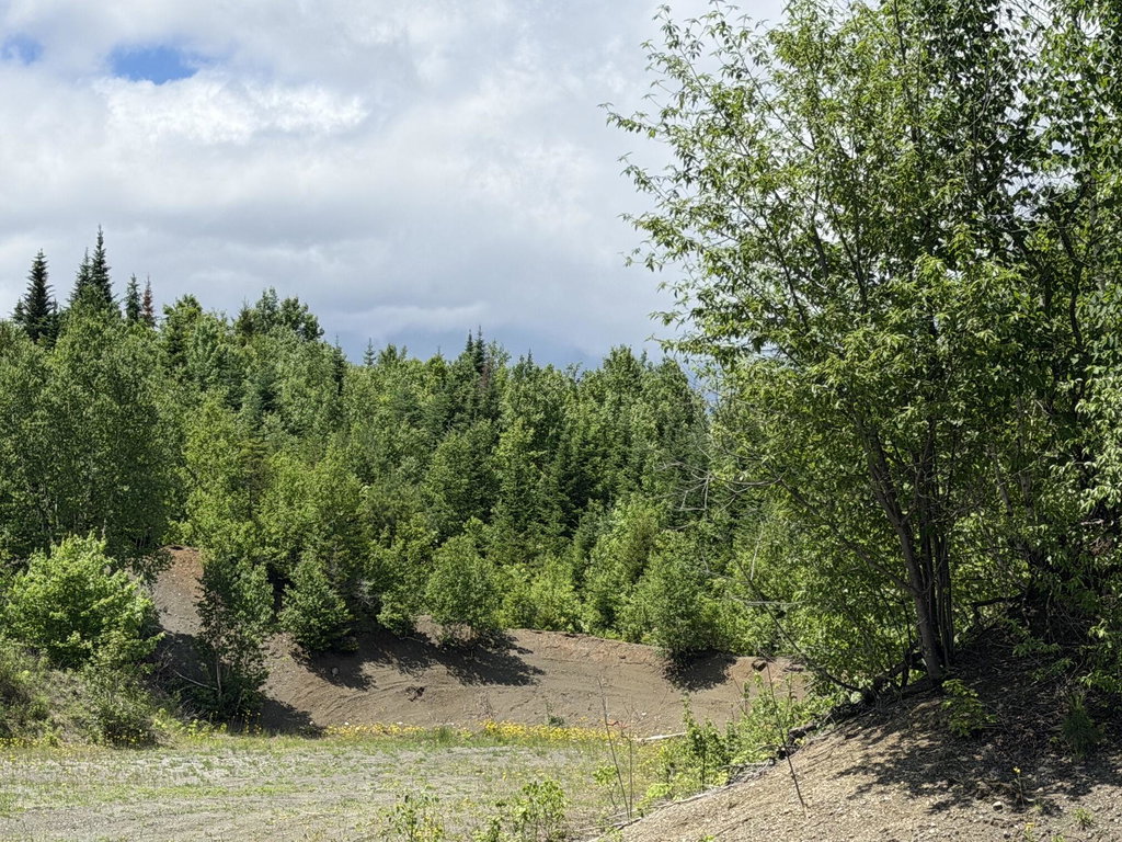 Lot 35 Mountain View Trail Greenville