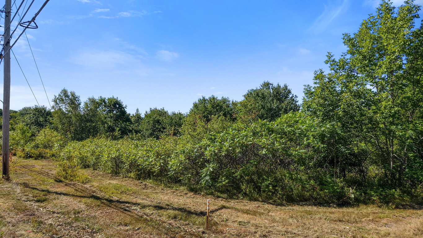 Land Views