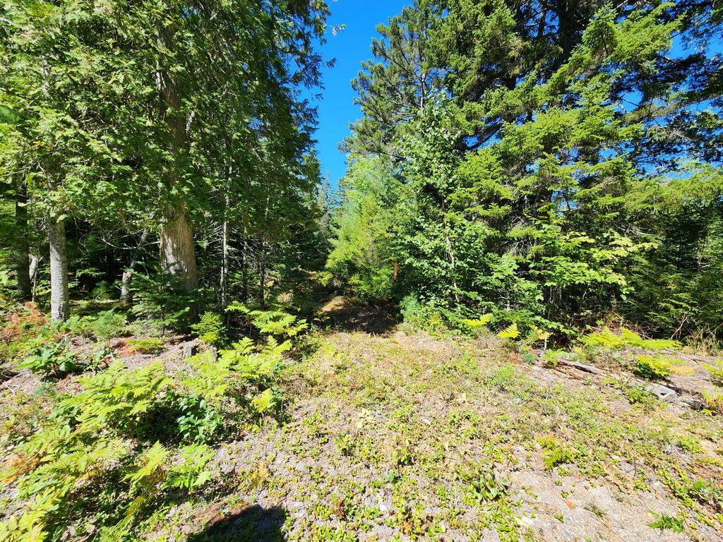 Mattson Lane, Blue Hill