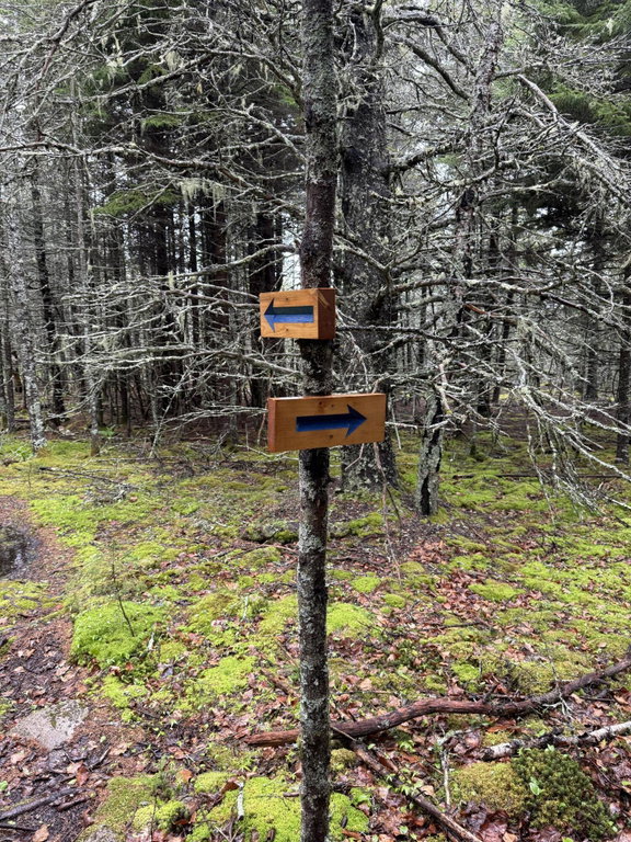 trail signs