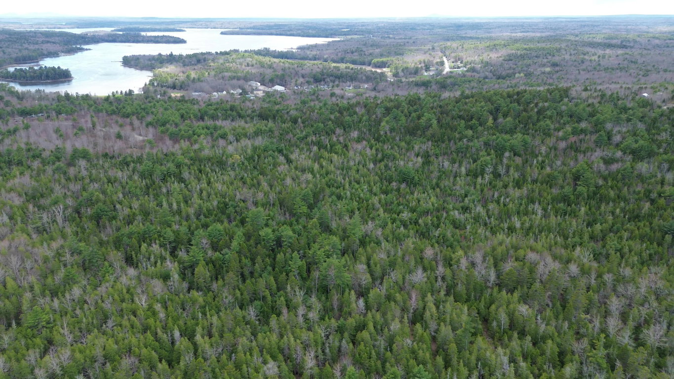 Vies of Taunton Bay in distance