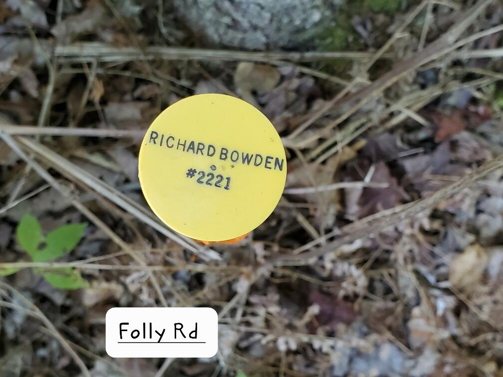 pin on Folly-flagged