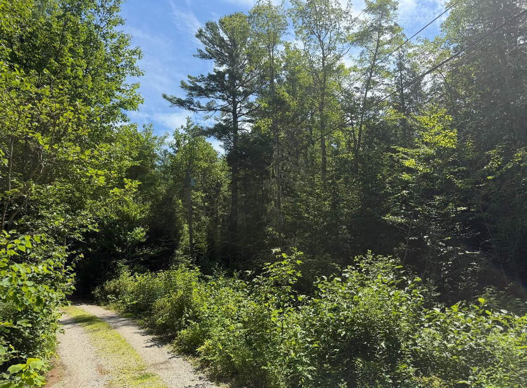Lot 23 Webb Pond Rd