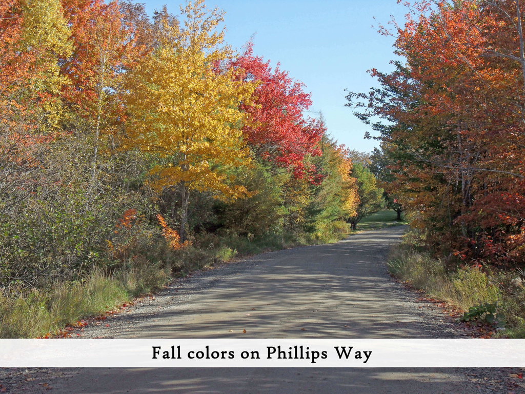 along Phillips Way 4
