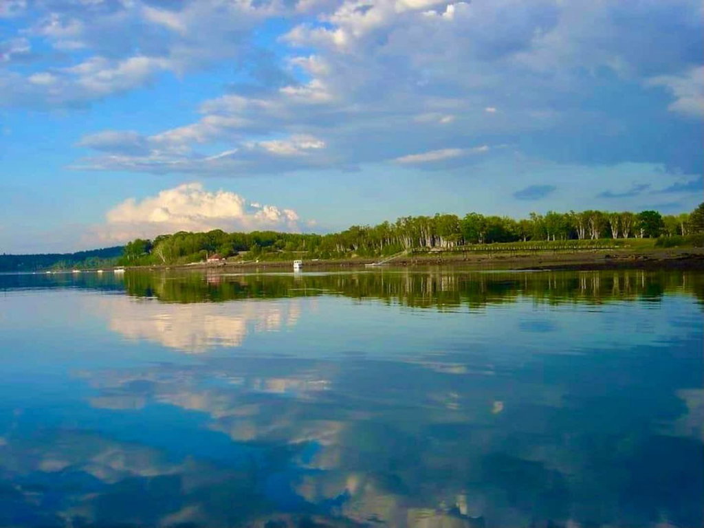 View of Castine from Boathouse