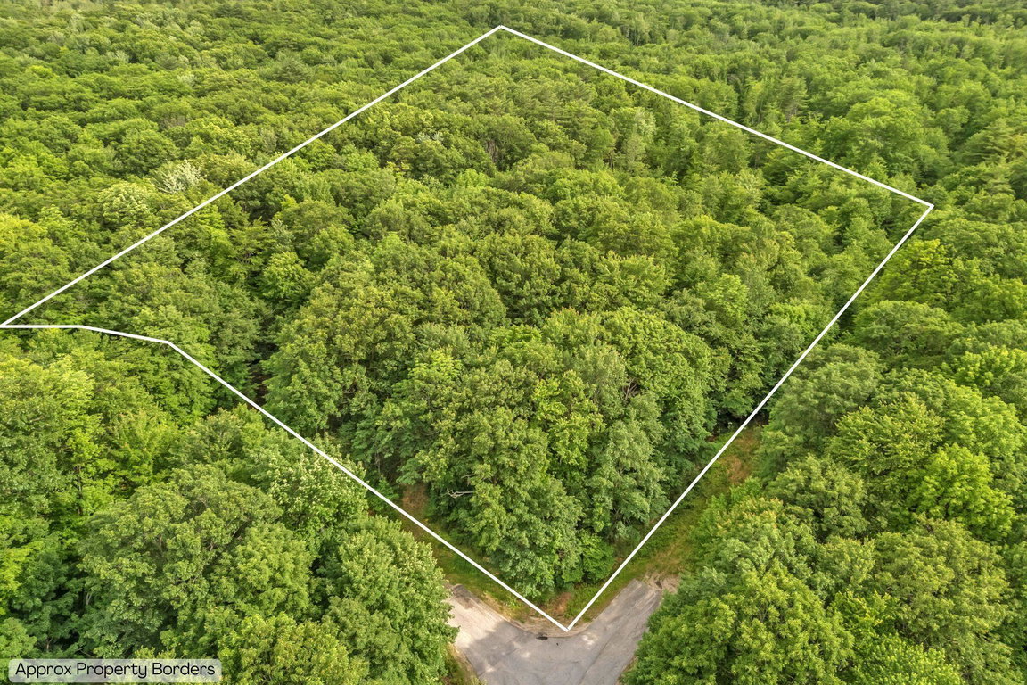 Lot 6 Forest Trail Drive Turner