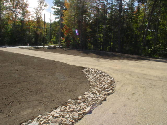 Front yard 1