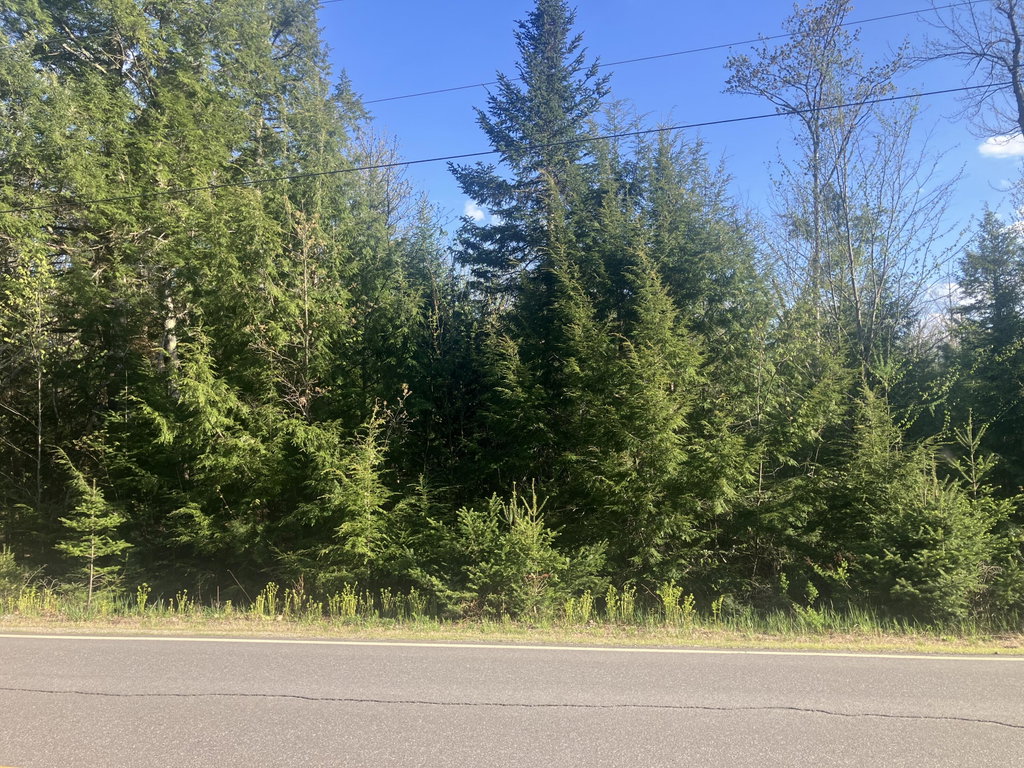 Lot 90-1 Woodmans Mill Road Searsmont