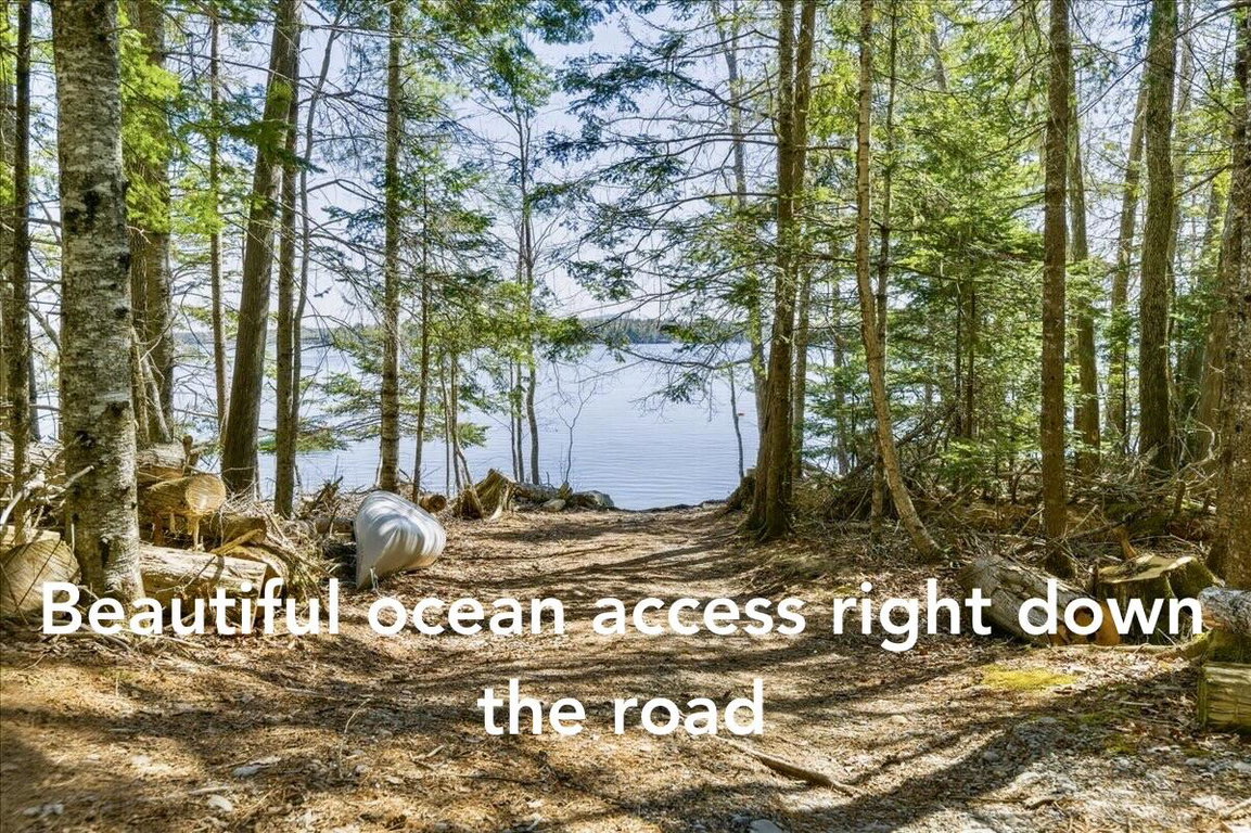 Ocean access