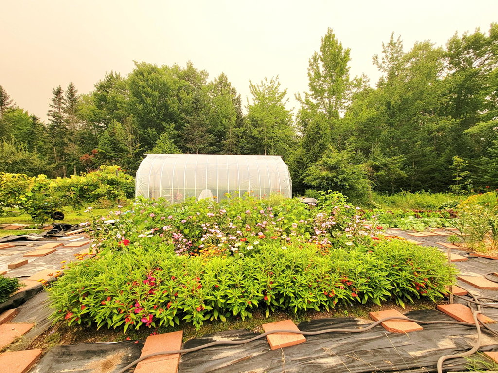 Extensive Gardens